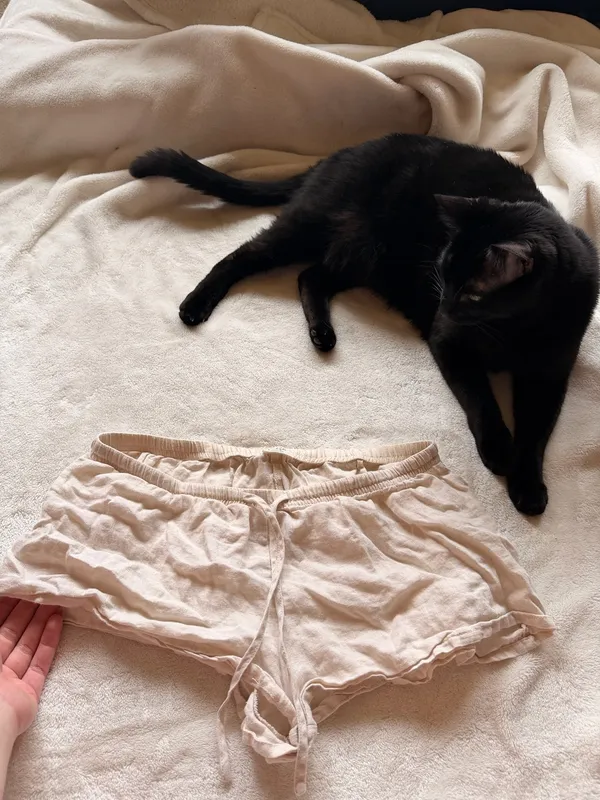 John Galt Brandy Melville Shorts - Image 2