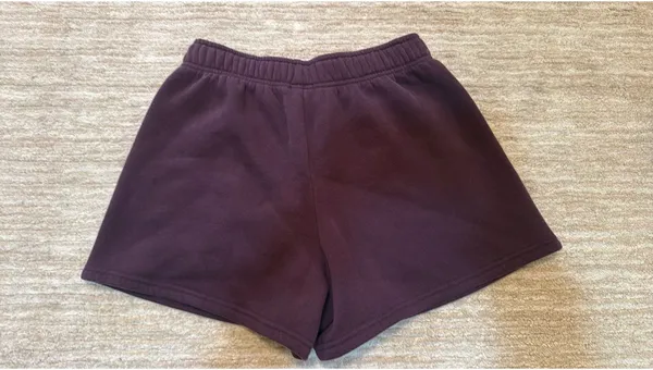 OFFLINE by Aerie Plum 3” Cloud Fleece Shorts - Image 3