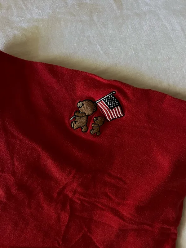 Hollister patriotic tube top - Image 2