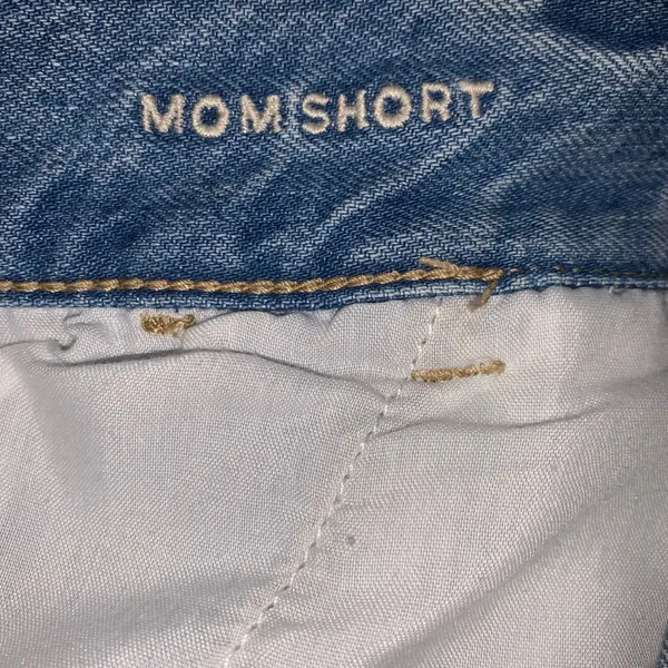 Womens Size 10 American Eagle Mom Shorts Denim Shorts Pleated Cuffed - Image 4
