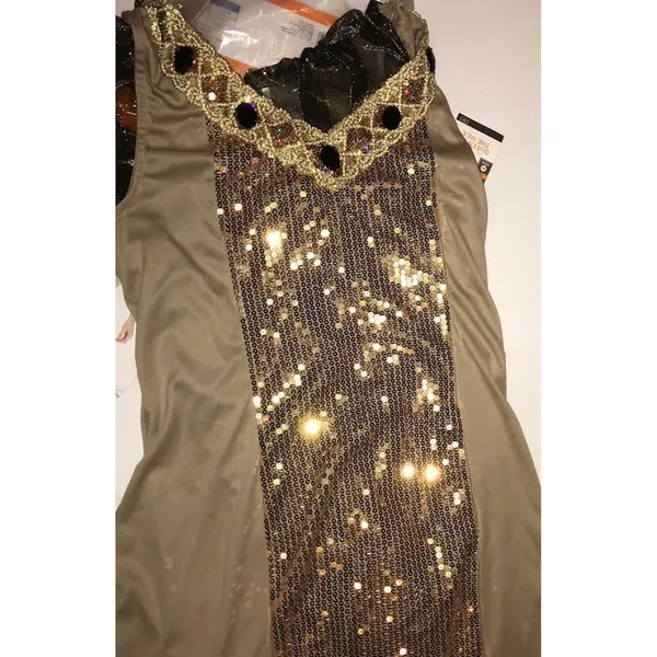 Target Queen Of The Nile Halloween Costume Dress Womens L 12 14 - Image 3