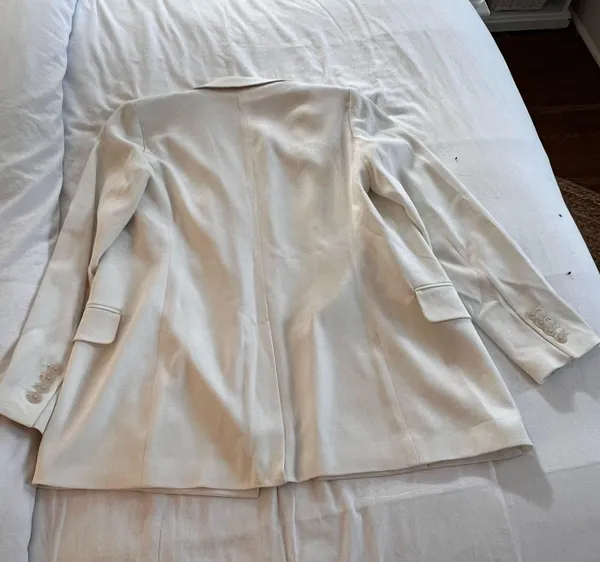 Babaton Aritzia Blazer - Image 2