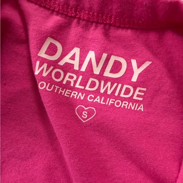 Dandy Worldwide Embroidered ‘Wish You Were Here’ Y2K babydoll cropped tee small - Image 8