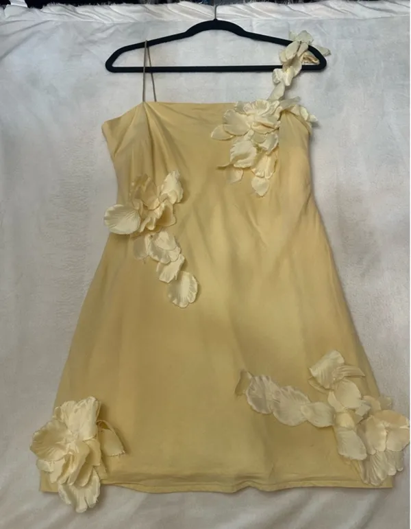 Anthropologie Yellow Hutch 3D Floral Mini Dress - Image 3