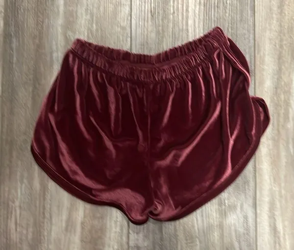 Brandy Melville Velvet Shorts - Image 5
