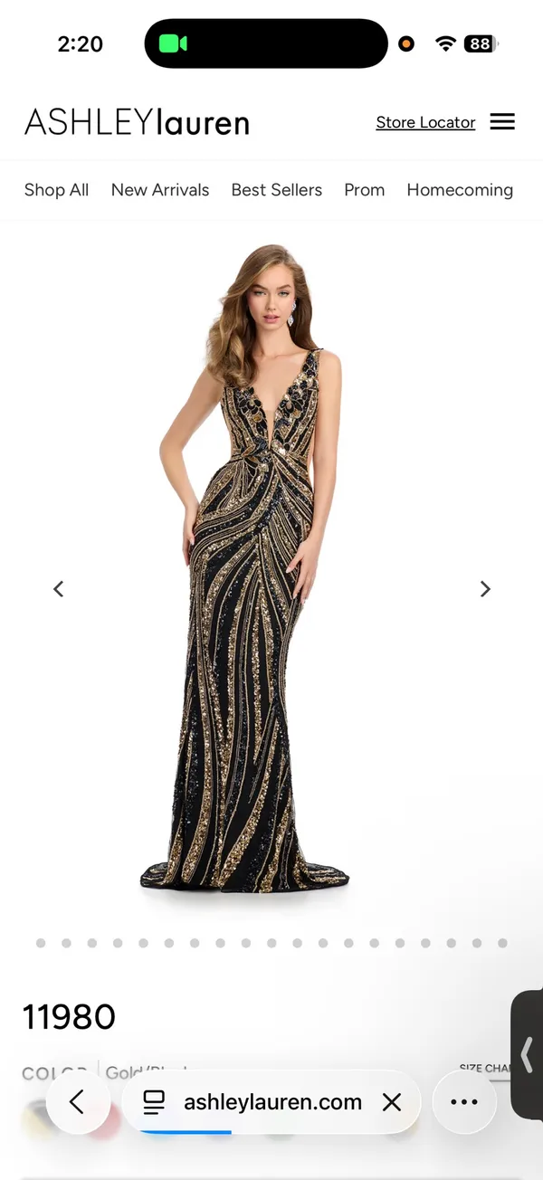 Ashley Lauren Prom Dress - Image 5