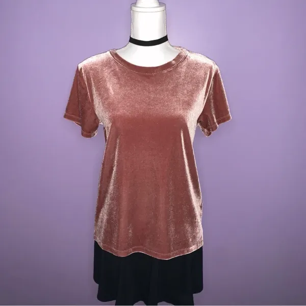Abercrombie & Fitch Mauve Velour Top - Image 3