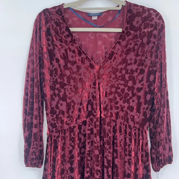 Tommy Hilfiger Burnout Velvet Dress Sz 6 Whimsigoth Burgundy Sheer Romantic Goth - Image 3