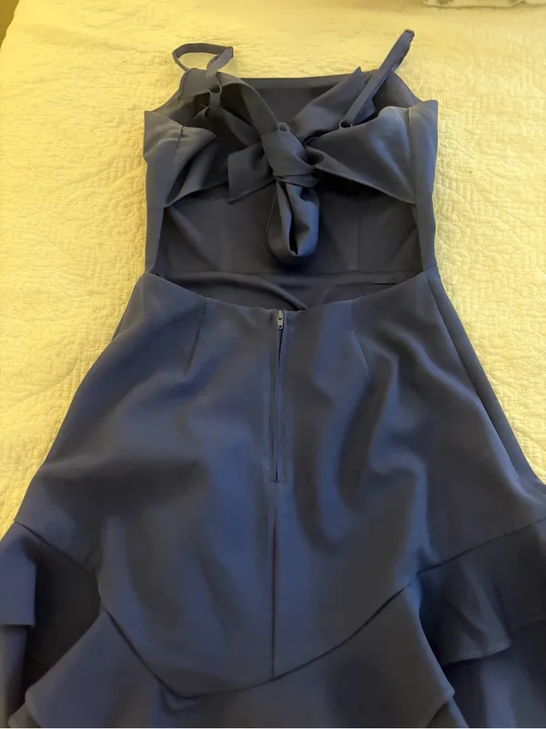 Princess Polly Navy Blue Ruffle Hem Mini Dress - Image 3