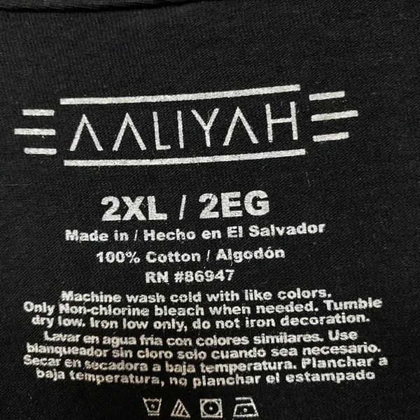 Aaliyah Airbrush Queen of Urban Pop Self-titled Album Tee 2X - Image 4