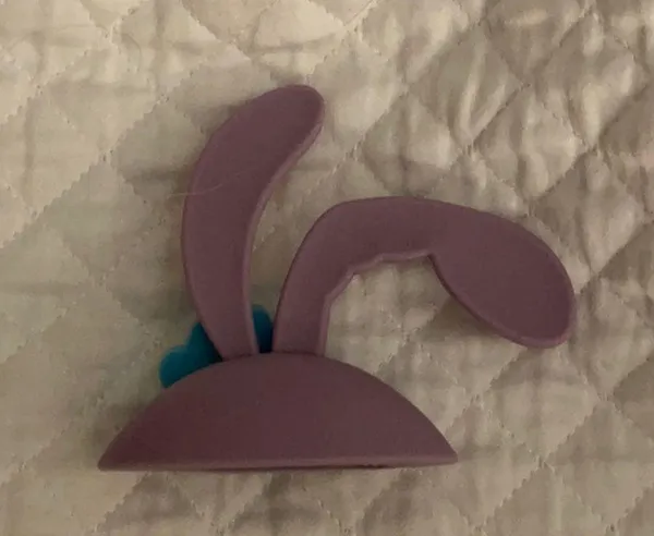 Disney COPY - Stella Lou AirPod case for AirPod 1 and 2 size - Image 4