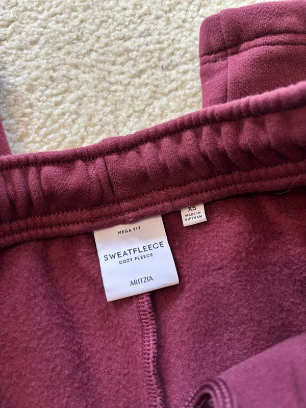 Aritzia Cozyfleece Straight Leg Sweats - Image 2