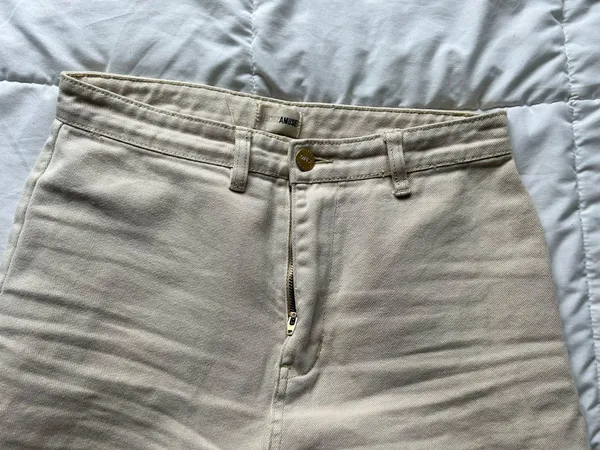 Amuse Society Pants - Image 4