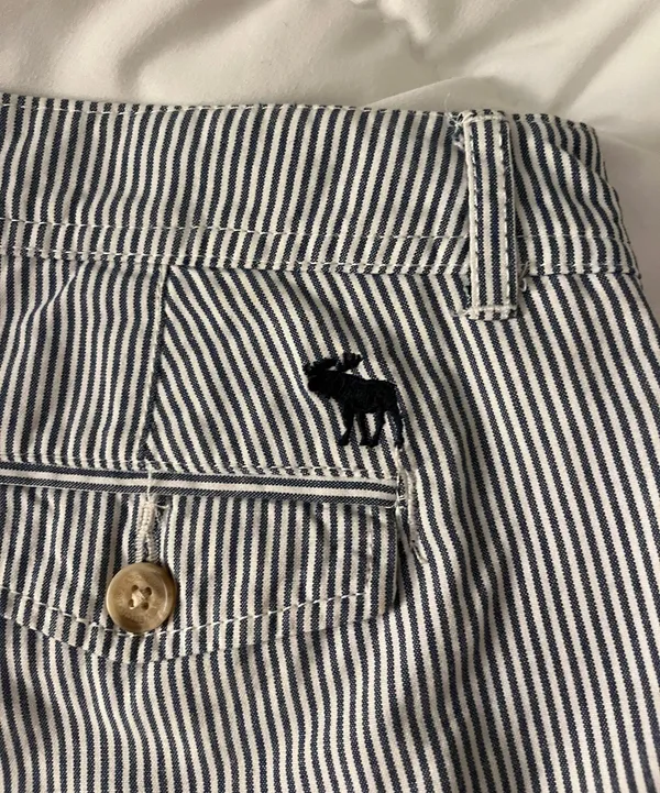 Abercrombie Shorts - Image 4