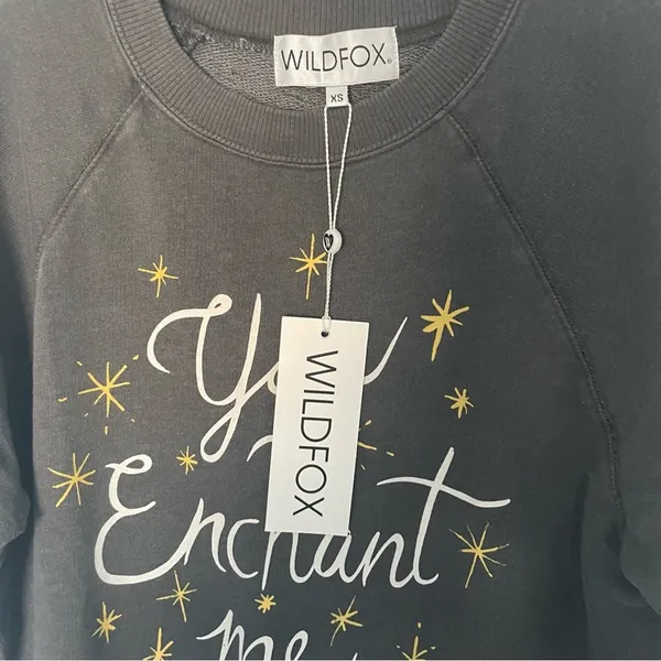 WILDFOX Enchantress Sommers Oversized Sweatshirt NWT - Image 3