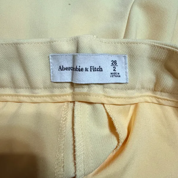 Abercrombie & Fitch Women 2 26 Pale Yellow Pleated High Rise Tailored‎ Shorts - Image 4