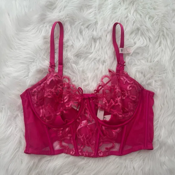 Victoria’s Secret Dream Angels Wicked Shimmer Heart Embroidery Corset Pink Large - Image 2