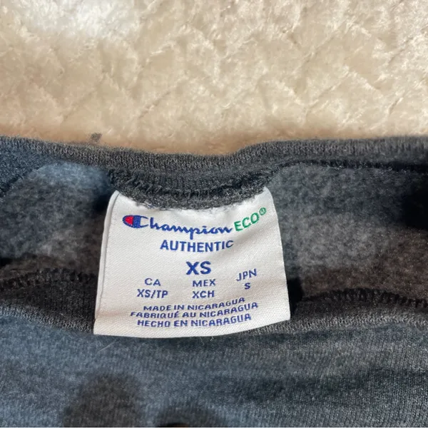 Champion Gray Hampton University Pullover Sweatshirt‎ Unisex Size XS - Image 3