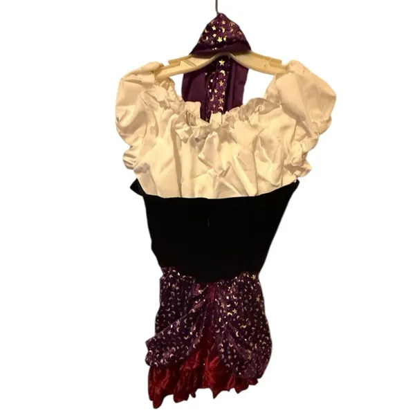 Underwraps Costumes Miss Fortune Halloween Costume Dress - Image 6
