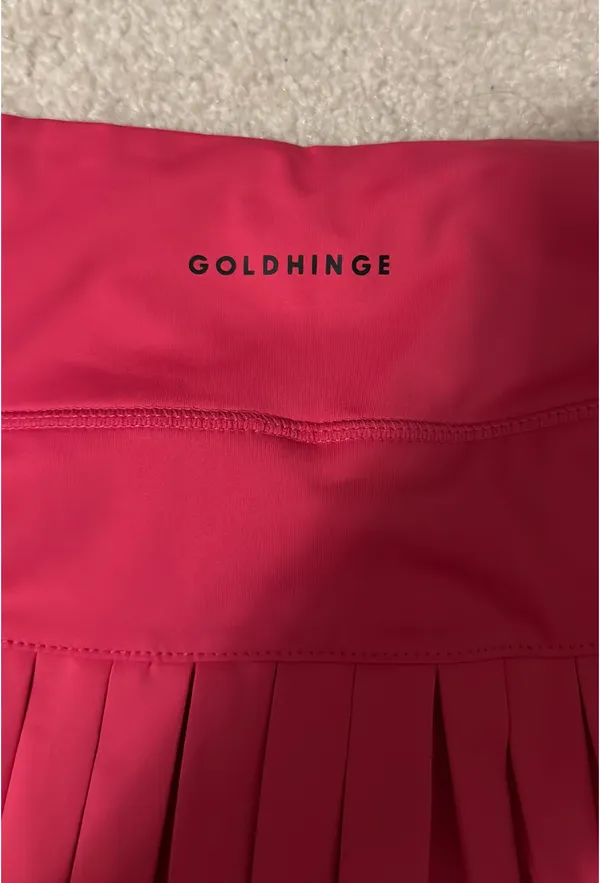 Gold Hinge Skirt - Image 3