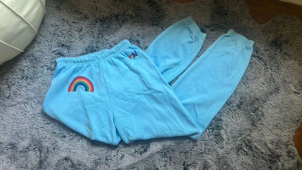 Aviator Nation Sweatpants Blue - Image 2