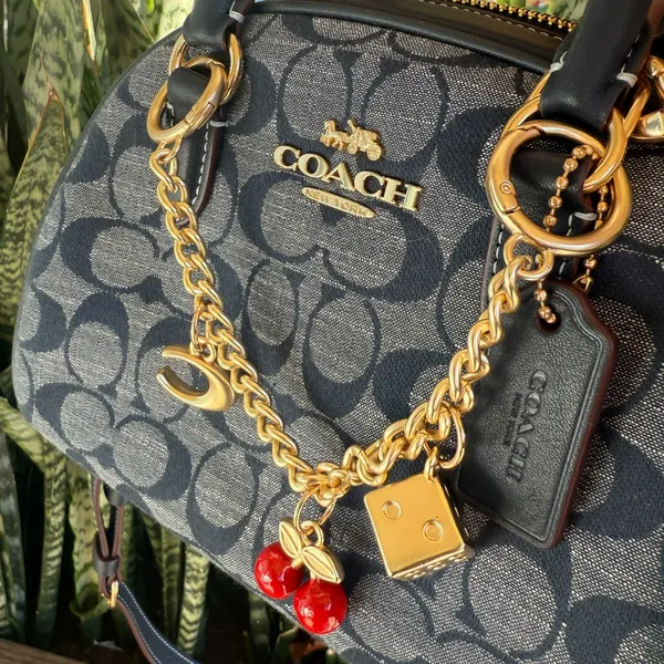 coach Sydney Satchel In Signature Chambray ch140 - Image 6