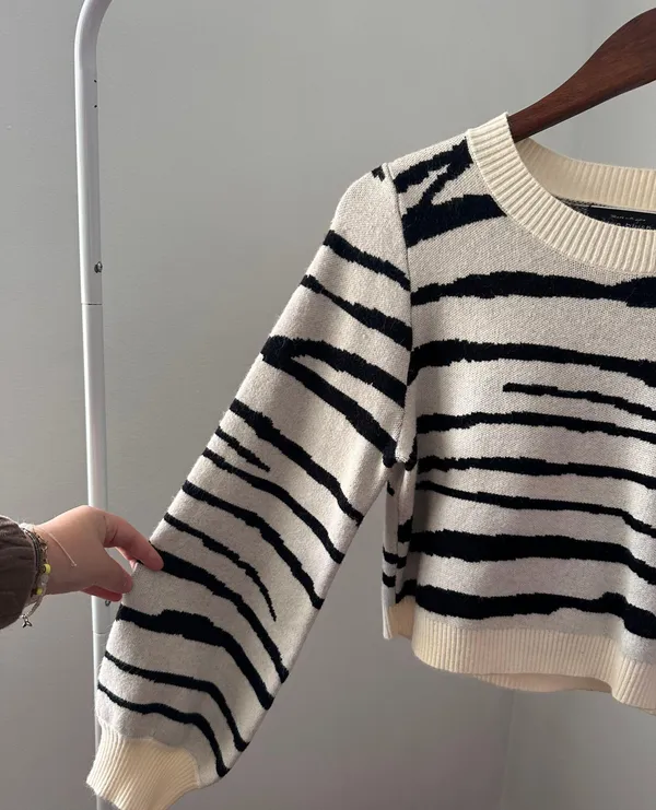 Blue Blush Zebra Crop Sweater - Image 4