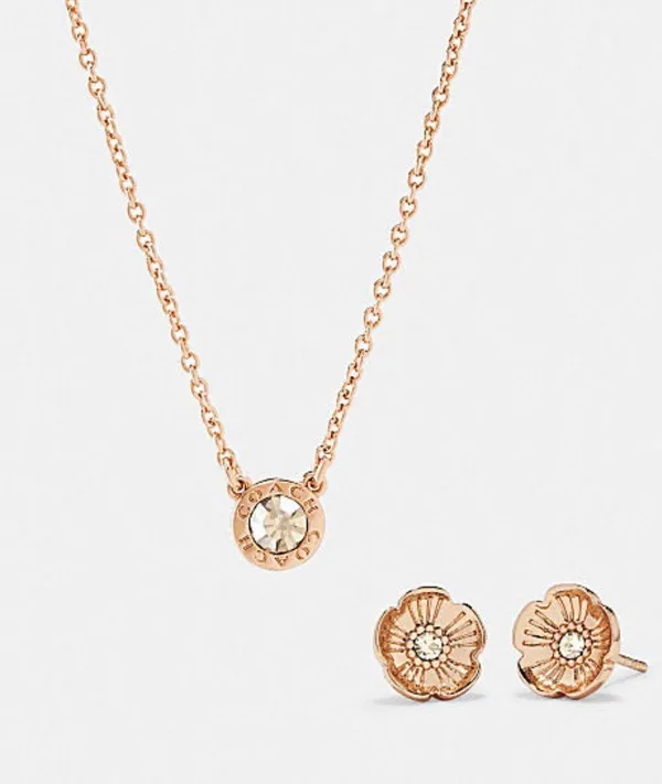 Coach Necklace And Earrings Set - Image 3