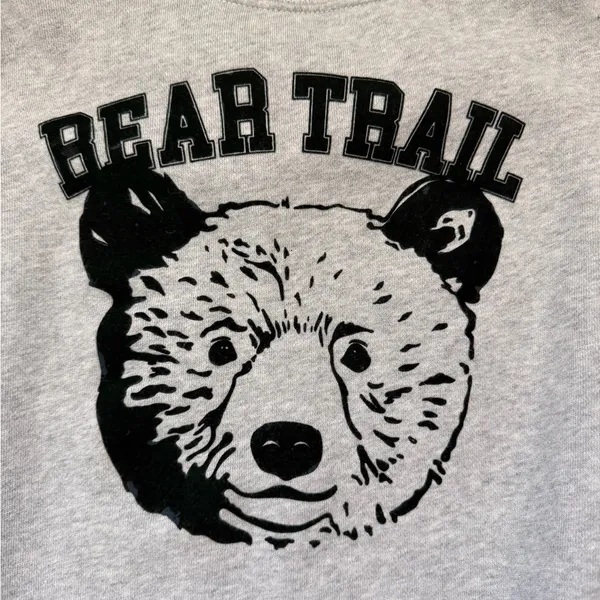 Aerie Bear Trail Gorpcore Gray Get Away Oversized Crewneck Sweatshirt size xxs - Image 5