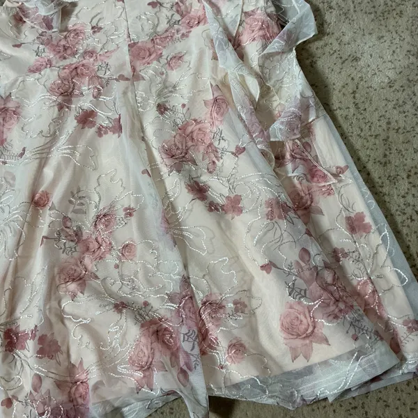 Cider Floral Embroidered Mesh Ruffle Mini Dress Womens L Beige Pink Fairycore - Image 5
