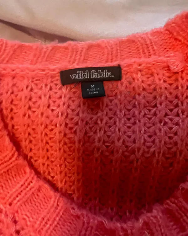 Wild Fable Target Sweater - Image 3