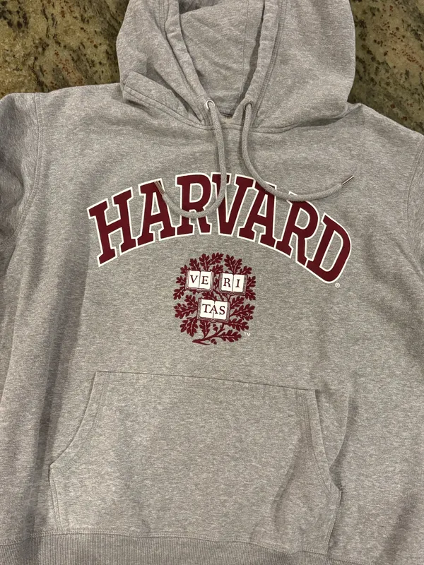 H&M Gray Harvard hoodie - Image 3