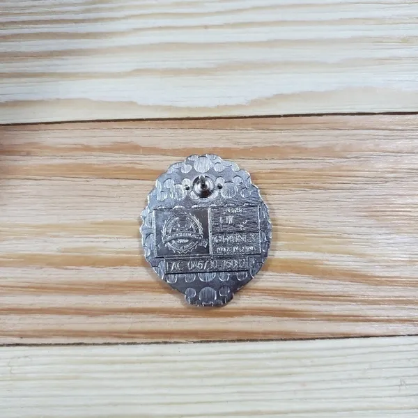 Disney World of Evil - Gothel Pin - Image 2