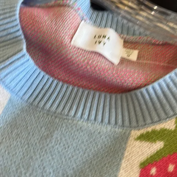 NWT Luna Ivy X Anthropologie Blue Checkered Strawberry Pullover Sweater Farm M - Image 8