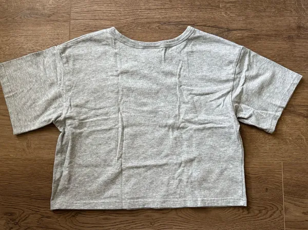 Champion Heather Grey Crop Top - Image 4