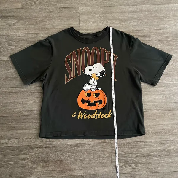RSQ x Peanuts Snoopy & Woodstock Together Boxy Tee - medium - Image 4