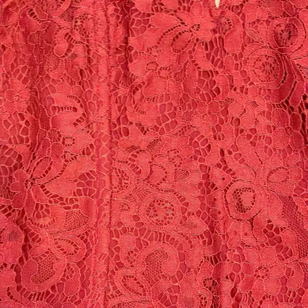 Porridge Anthropologie Corset Top Small Vampy Lace Regencycore Renaissance Goth - Image 6