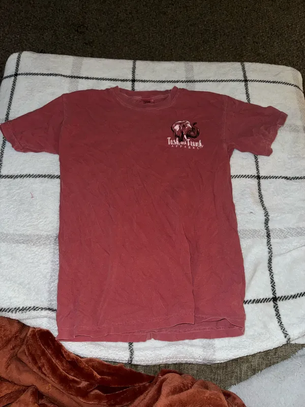 Alabama Comfort Colors T-Shirt - Image 2