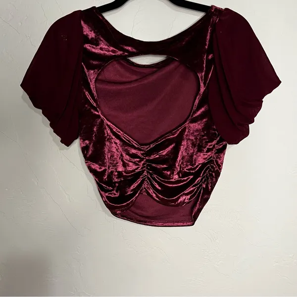 Intimately Free People Midnight Mood Velvet Burgundy Ruched Puff Sleeve Crop Top - Image 12