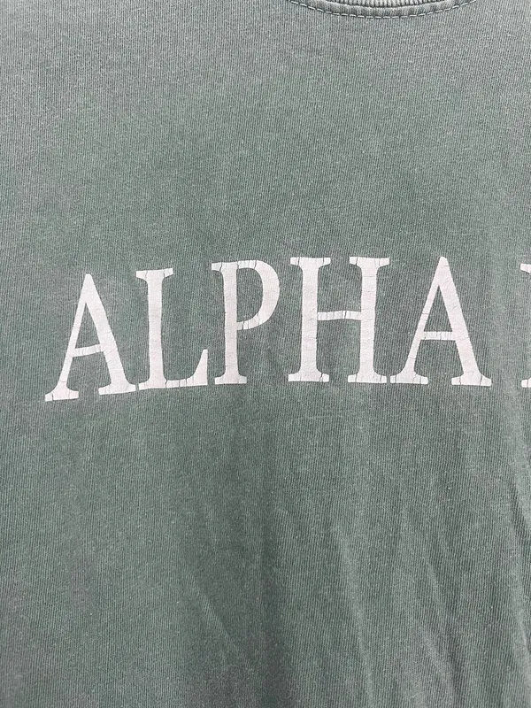 Comfort Colors Alpha Phi Shirt - Image 2