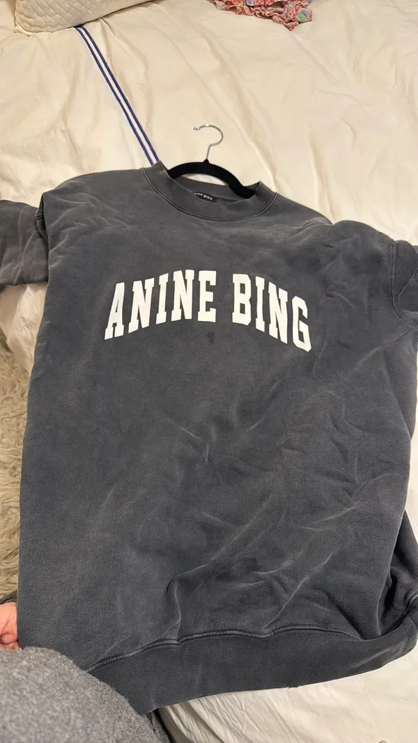 ANINE BING Sweatshirt Grey - Image 5