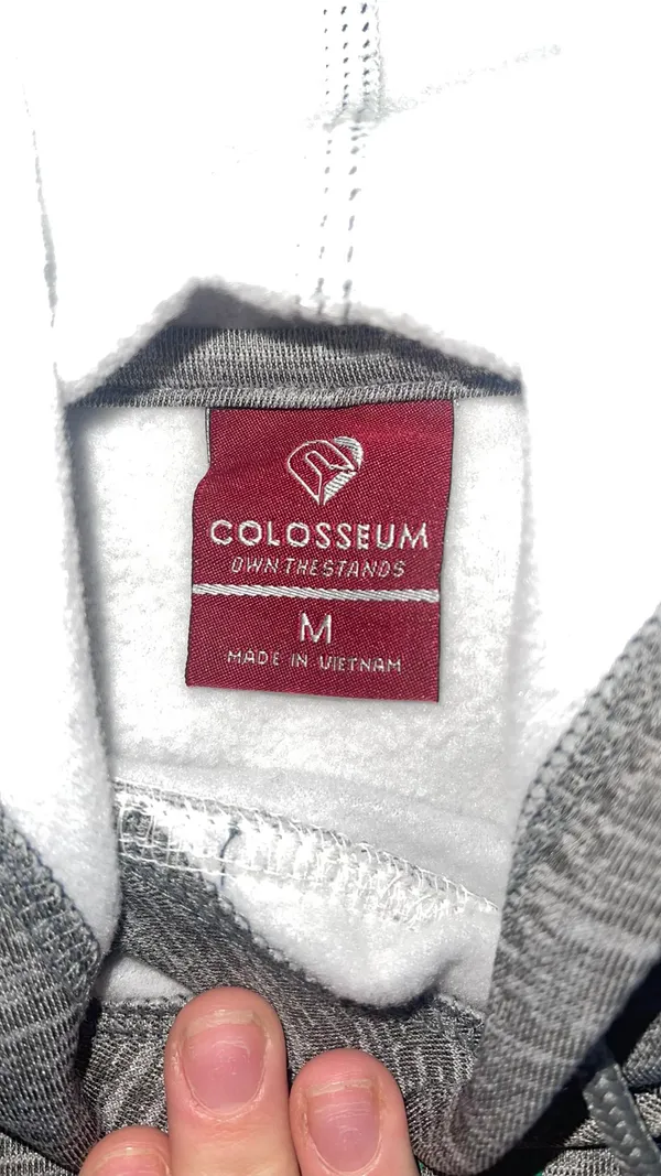 Colosseum Notre Dame Hoodie - Image 3