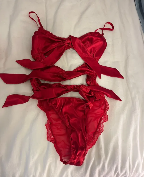Victorias Secret Tied With A Bow Teddy - Image 3