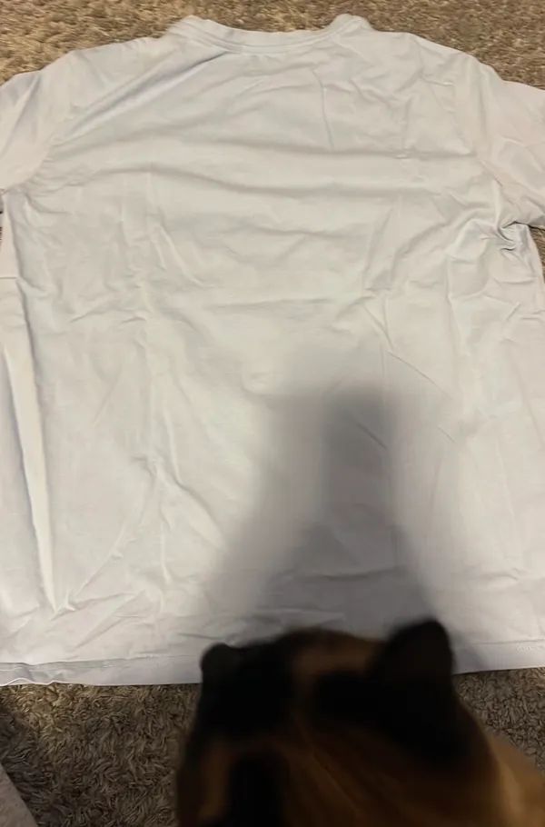 Aelfric Eden T-shirt L - Image 4