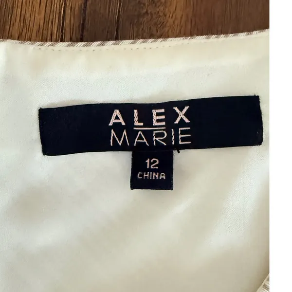Alex‎ Marie Beige White Striped V-Neck Pleated Sheath Dress Womens Size 12 - Image 6