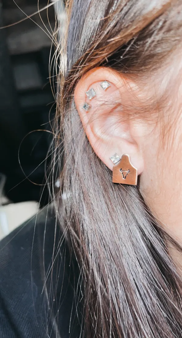 Cow Tag Earrings (copper) Gold - Image 2