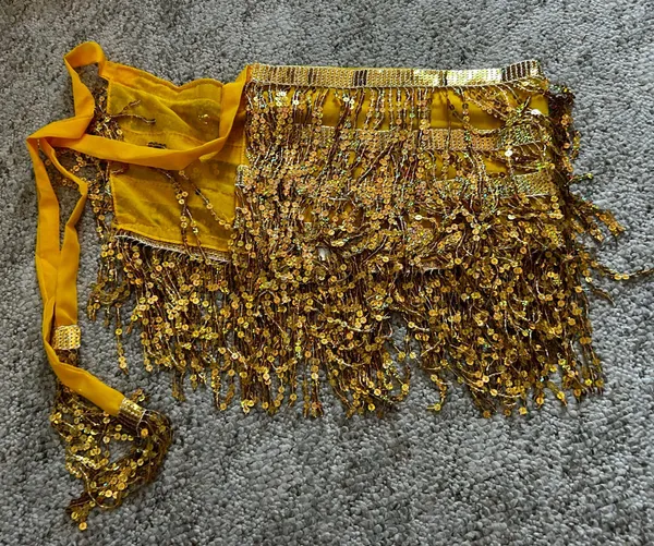 Amazon Gold Sequin Fringe Wrap Skirt - Image 3