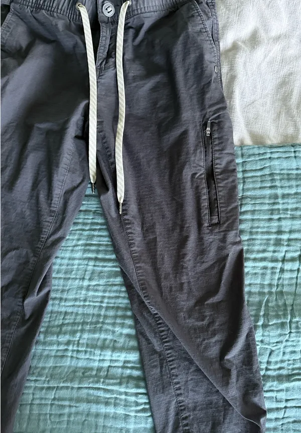 Vuori Hiking Pants - Image 2