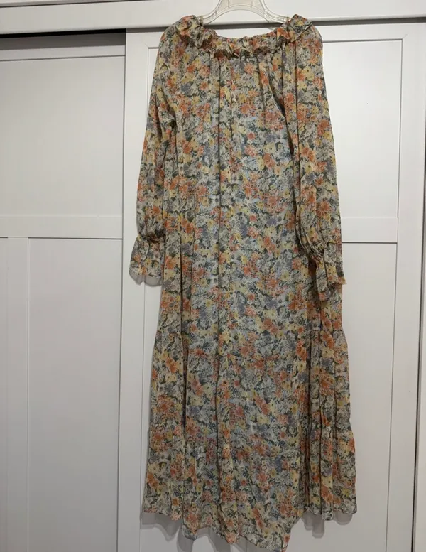 Vici Sheer Floral Maxi Dress in Peach, Blue, Cream XS - Image 4