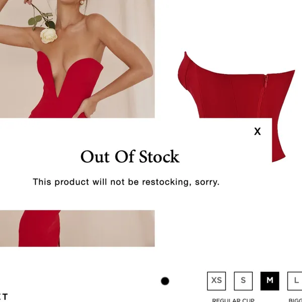 HOUSE OF CB‎ 'Lydia' Red Rose Plunge Corset NWOT size L D- DD - Image 12